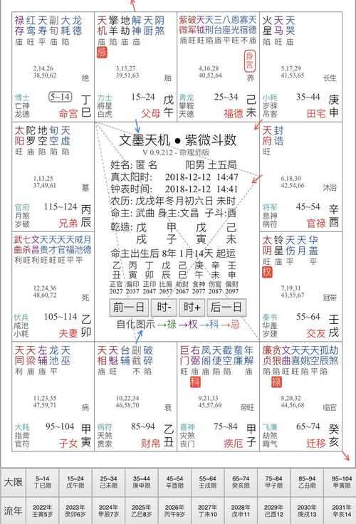 紫微斗数旺代表什么紫微斗数最上等格局