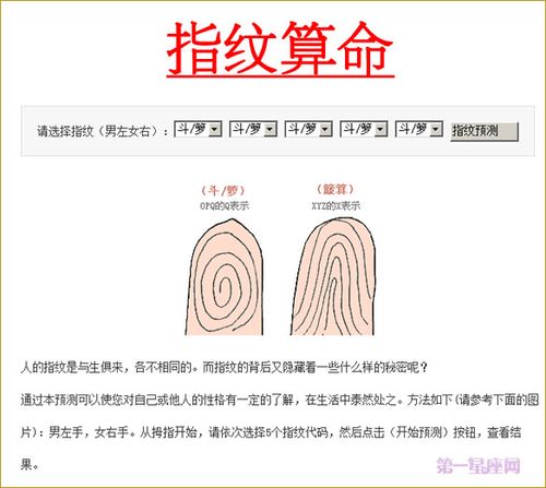 十指指纹算命查询(手掌指纹算命图解)