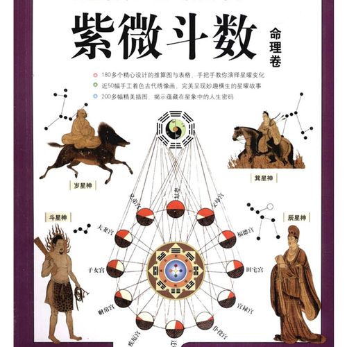 算命大师推荐《紫薇斗数》紫薇算命算卦占卜书详批八字合婚古籍预测算