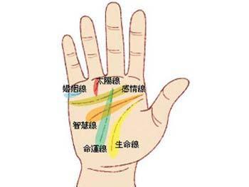 两条生命线的手相图解 手相生命线是哪一条图片