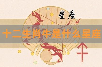 神巴巴络的微博微博(2023年属牛什么星座)