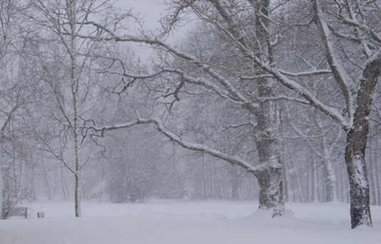 孕妇梦见下雪了是什么意思 孕妇梦见下雪了是什么意思周公解梦