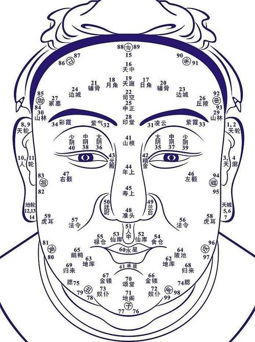 面相图解大全 手相算命图解大全