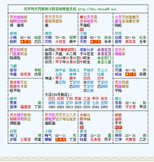 元亨利贞紫薇斗数排盘 元亨利贞网紫薇斗数