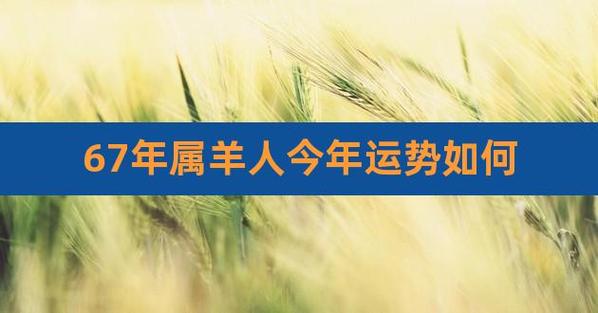 67年属羊人今年运势如何,67年属羊的男人2023年运势