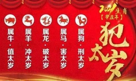 属鼠今年运势2023年(2023年属鼠人的全年运势)