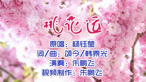 桃花运笛子独奏(笛子独奏桃花渡简谱)