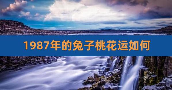 属兔今年桃花运如何 75年属兔女今年桃花运