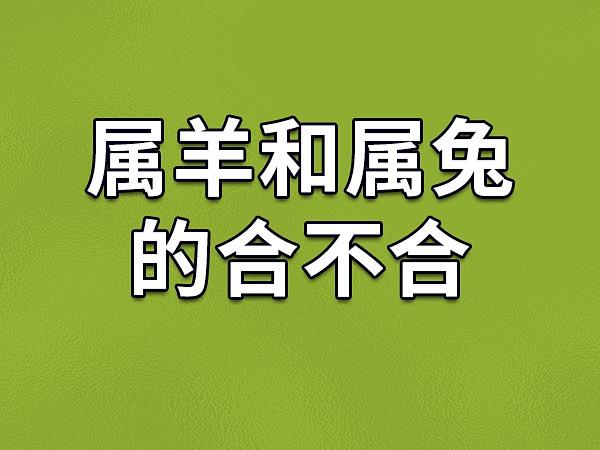 生肖兔和生肖羊相配吗(生肖兔和生肖羊合不合)