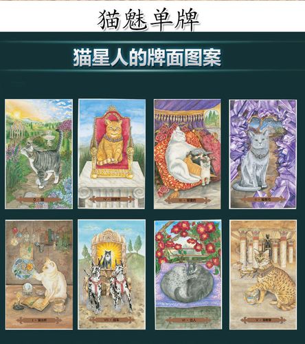 塔罗牌动物 猫 仙子 凯尔特龙族 奥修禅女巫变形塔罗正版【单牌】