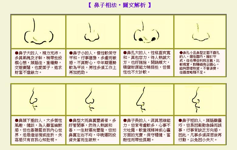 鼻子面相大全图文解说