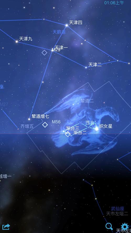 织女星属于什么星座 织女星座是什么