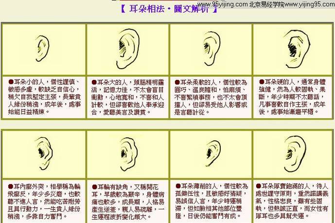 耳朵面相图解大全 十六种耳朵面相图文分析