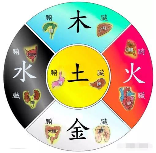 怎么看八字属阴还是阳