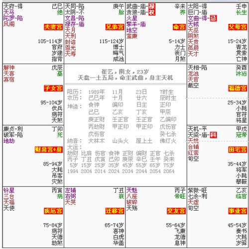 紫薇排盘解析 紫薇命盘详解与分析免费