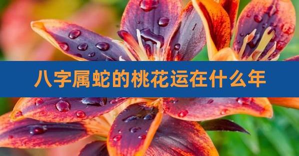 属蛇桃花运今年入何 属蛇养什么花带来好运