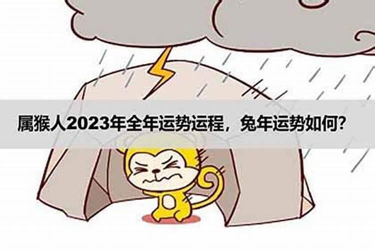 2023年属猴人的全年运势详解,属猴人2023年适合创业吗