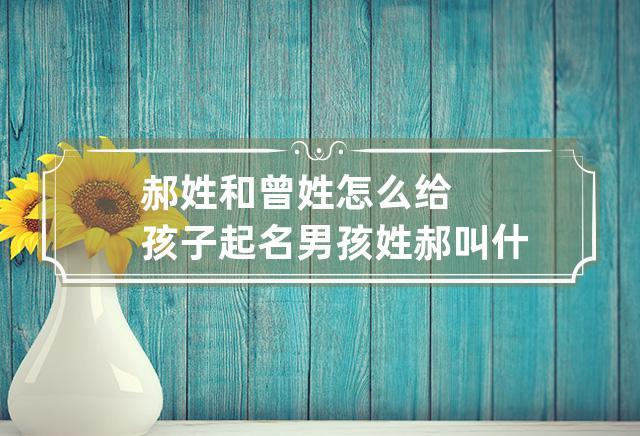 郝姓男孩起名100分 郝姓男宝名字