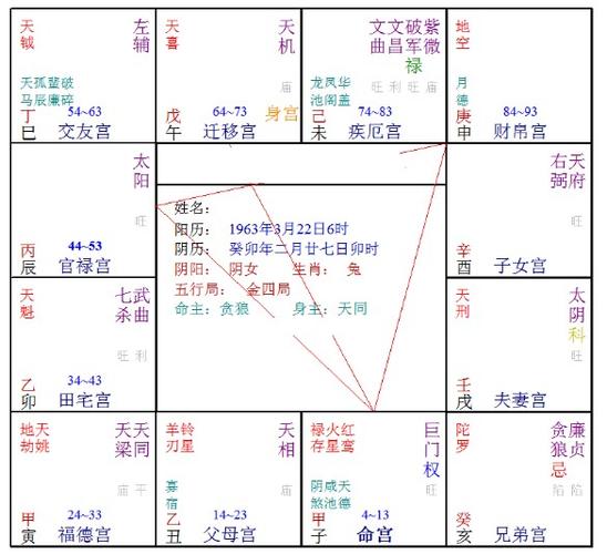 癸年命宫在子宫紫微星在未宫-留学