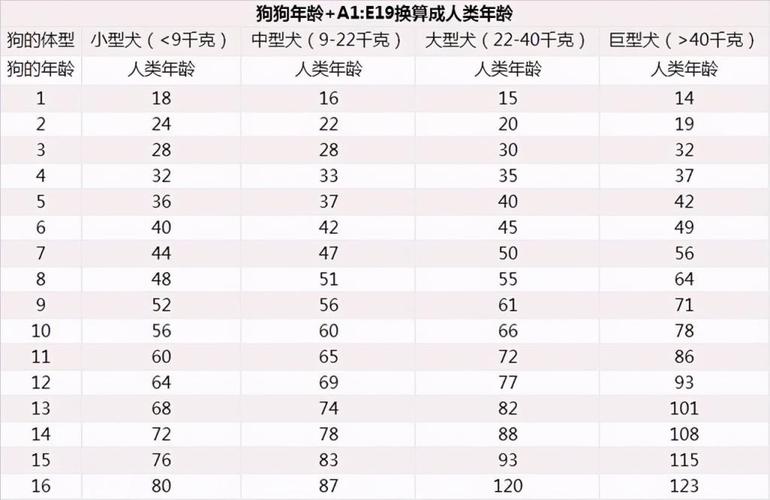 属狗对应岁数 属狗对应岁数是几岁