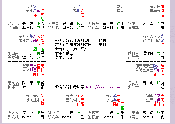 紫微斗数解读越详细越好