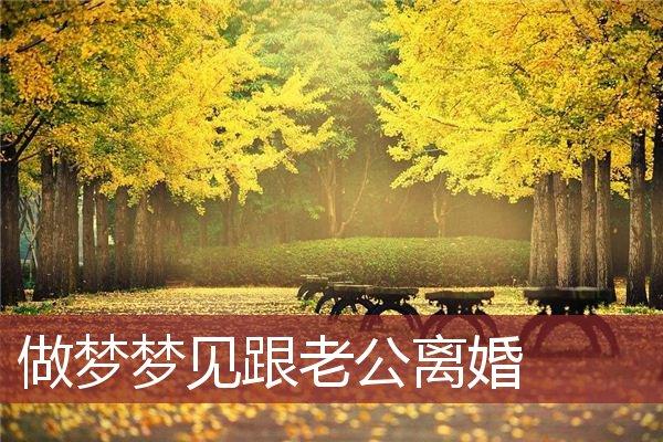 做梦梦见跟老公离婚_周公解梦网