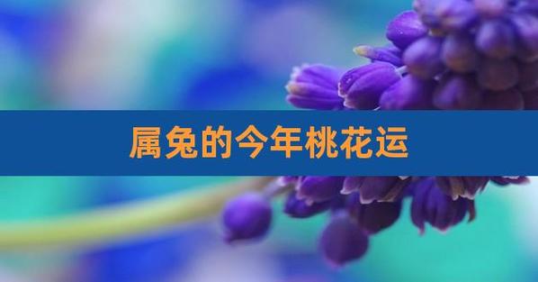 属兔的桃花方位(生肖兔的桃花应该放在什么方位)