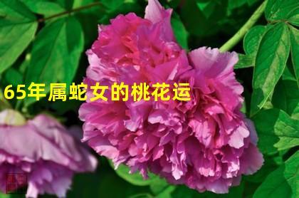 65年属蛇女的桃花运正月十八