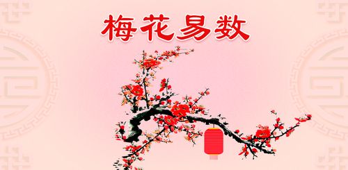 元亨利贞梅花易数排盘 梅花易数起卦元亨利贞