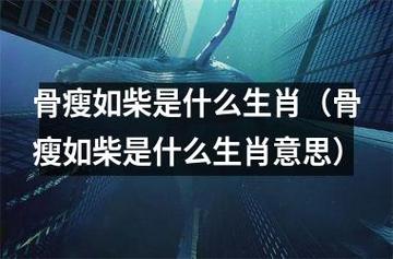 什么生肖骨瘦如柴是指古代描述身材修长,连骨头都可以看到,因此形容为