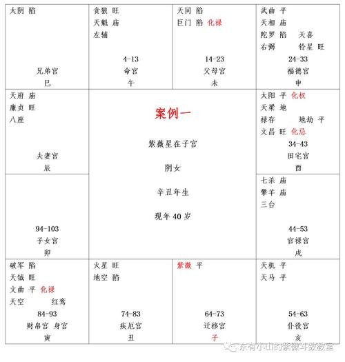 紫微斗数排盘巨门星在子女宫命理解析_达一风水网