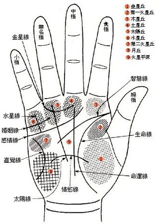 看哪只手更加准?-面相算命-风水八字同城网