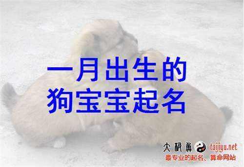 吉祥狗宝宝起名大全(农历五月狗宝宝起名大全)