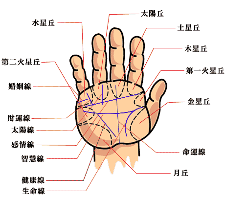 手相算命图解 看手相算命