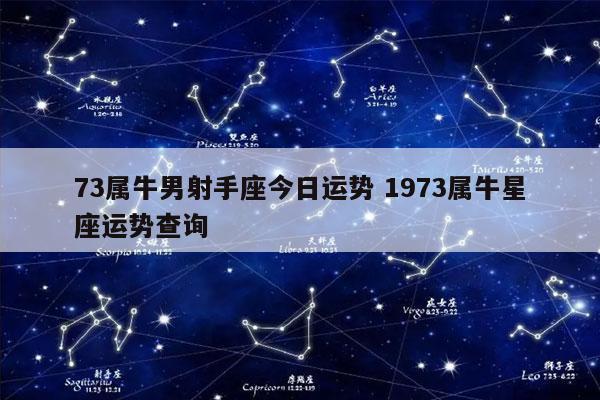 73属牛男射手座今日运势 1973属牛星座运势查询 - 发点星座网