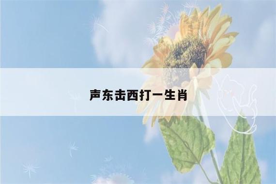 声东击西代表什么生肖 属肖是哪几个生肖