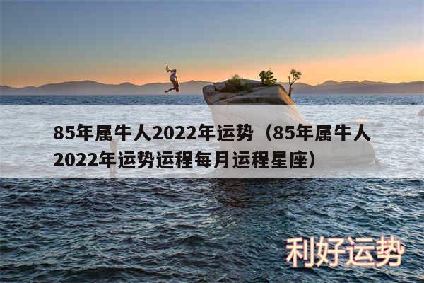 85年属牛人36岁本命年,85年牛女2023 年每月运势