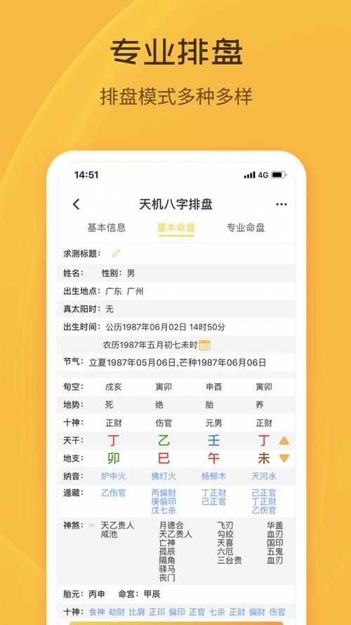 灵机八字排盘专业版 灵机算命八字排盘app