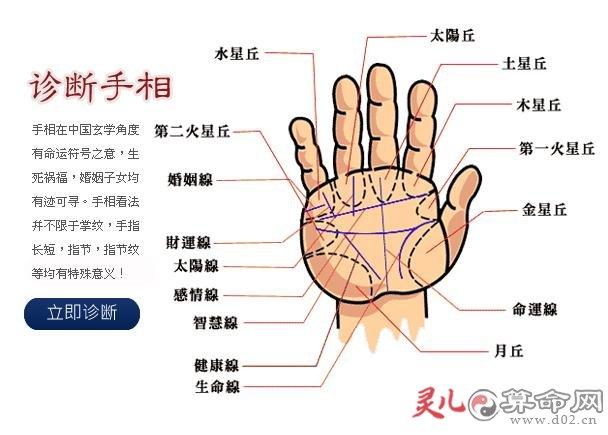 手相图解方庭的含义 _ 乾坤网(原易灵算命网)手机版