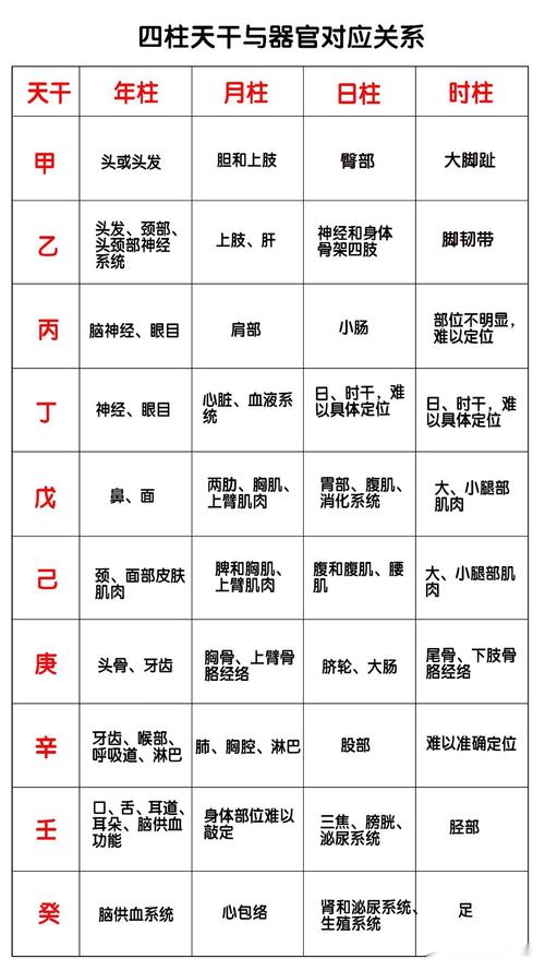 天干地支算命 天支地支