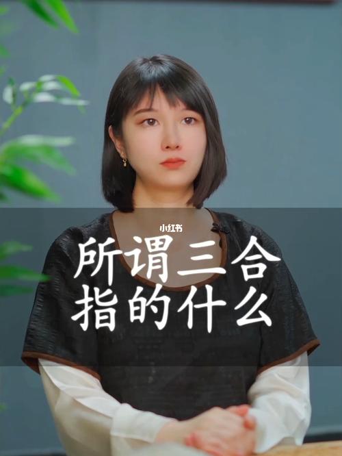 三合指的是什么