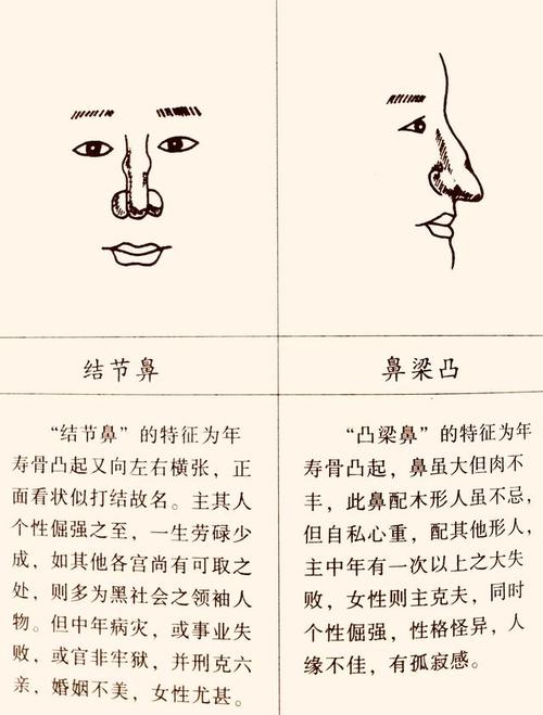 面相:鼻为人生的缩影|鼻子|质素|婚姻_新浪新闻