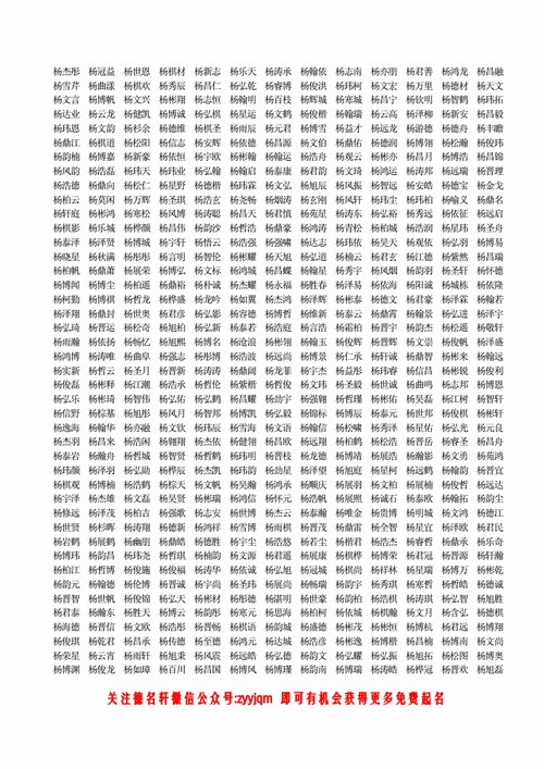 2023年2023年杨姓男孩起名字,杨姓男孩取名字大全,姓杨.doc