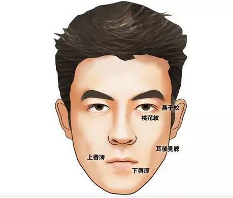 男人会聊面相 男人面相图解大全