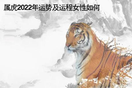 2023年属虎女的运势如何