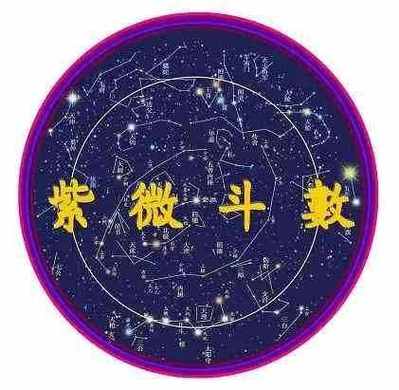 紫薇排盘怎么看紫微斗数之紫微星最全详解