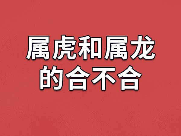 男属虎女属龙生个什么宝宝好