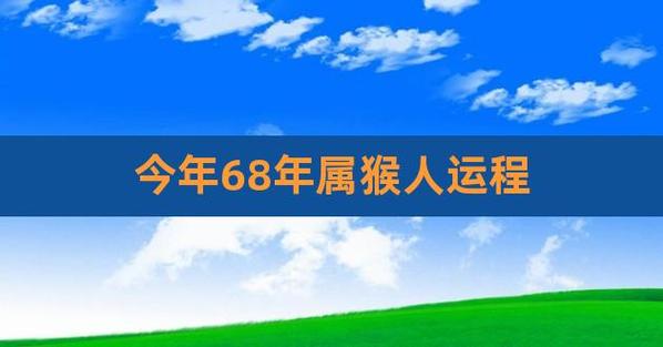 今年68年属猴人运程,68年属猴今年运势2023年运势