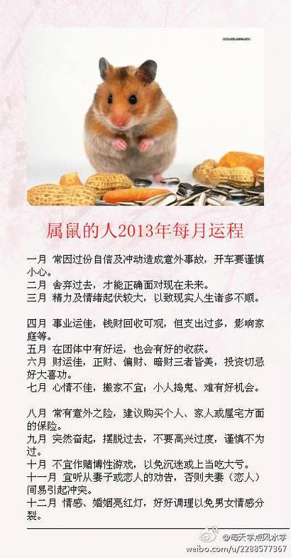 2023年生肖鼠全年运程属鼠今年的财运和运势万年历(属鼠的人今年运势如何)