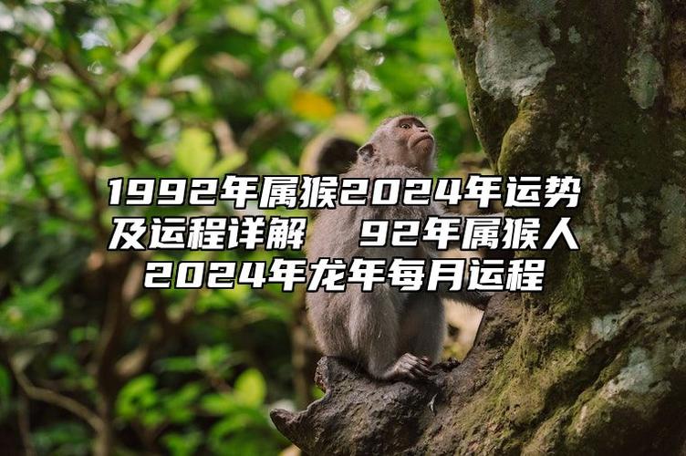 属猴人2023年运势 属猴人2025年运势及运程